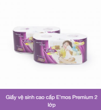 Giấy vệ sinh - Công Ty TNHH MTV VINA PAPER